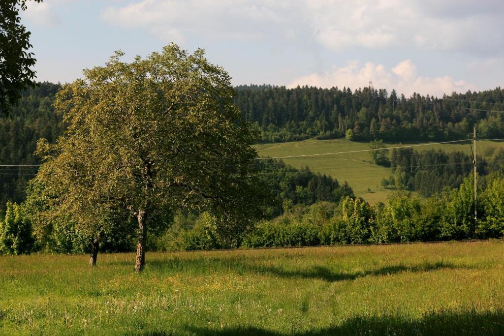 Hotel Rainhof Scheune & Naturpark Restaurant Кірхцартен Екстер'єр фото